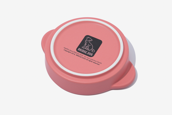 Mini Pot - Coral Pink (Matte)