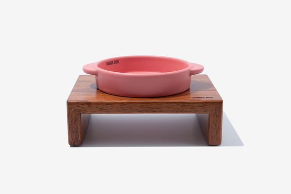 Mini Pot - Coral Pink (Matte)