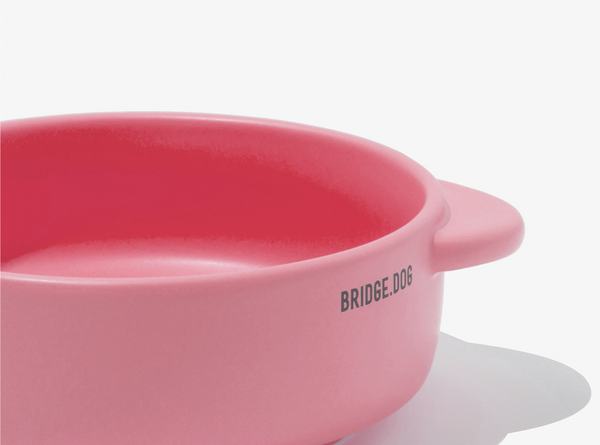 Bridge Pot - Coral Pink (Matte)