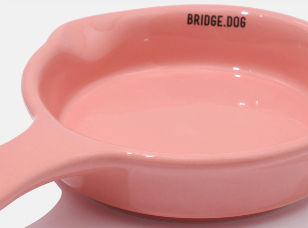 Mini Pan - Coral Pink (Glossy)