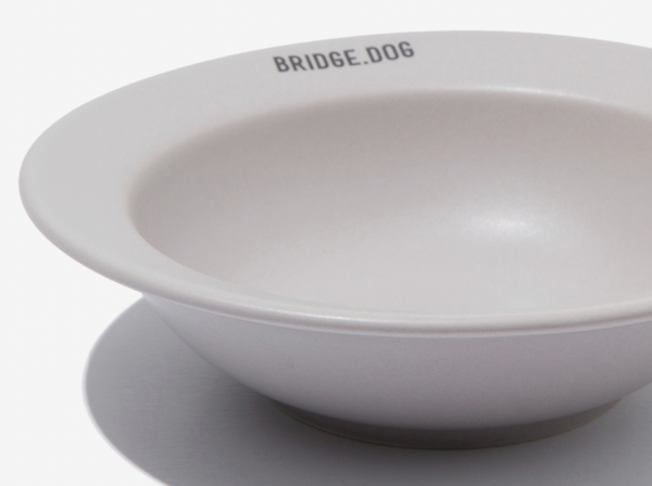 Mini Dish - Gray (Matte)