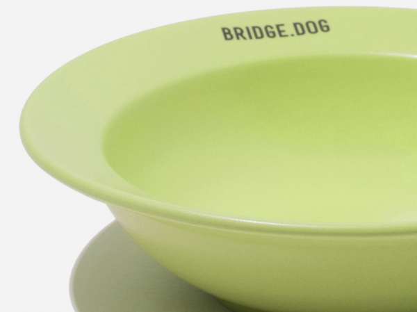 Mini Dish - Green (Matte)