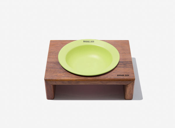 Mini Dish - Green (Matte)