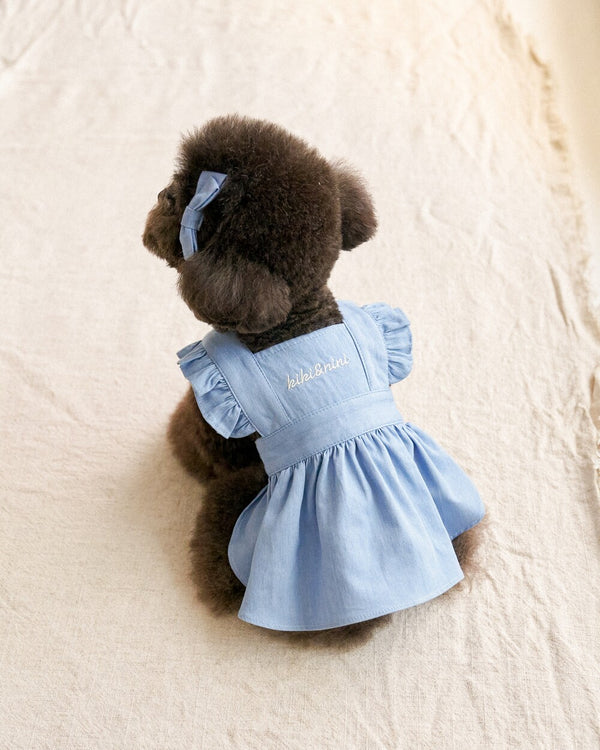 Youth Denim Dress