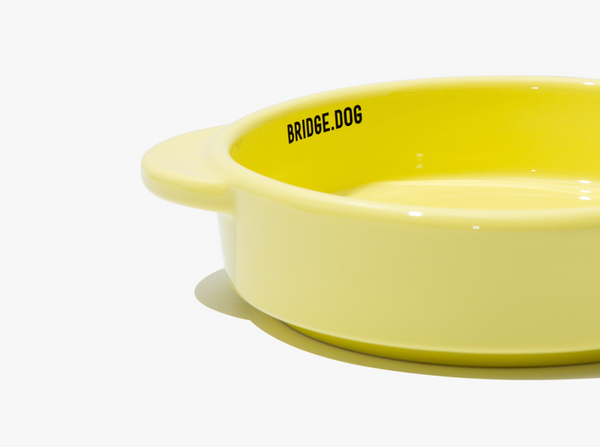 Mini Pot - Lemon Cream (Glossy)