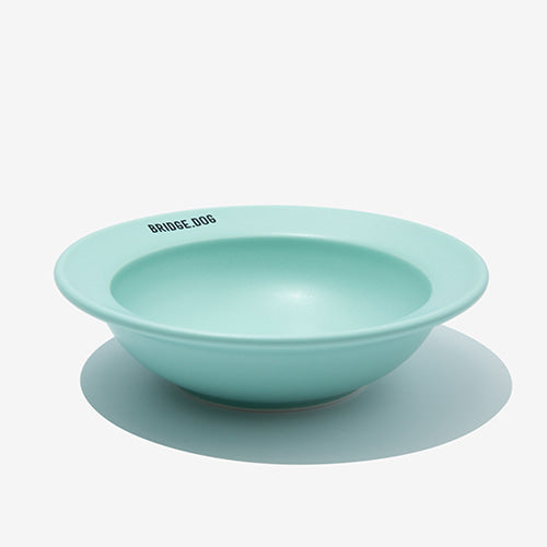 Mini Dish - Mint (Matte)