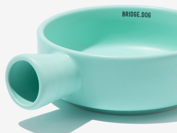 Bridge Pan - Mint (Matte)