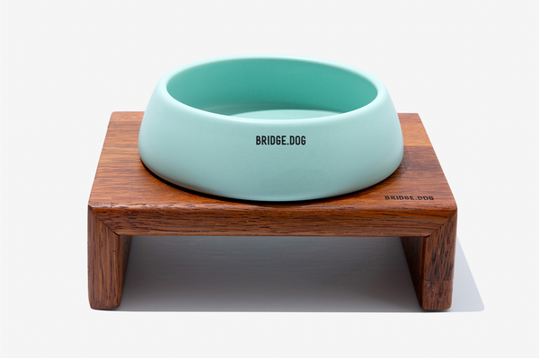 Bridge Ladder - Mint (Matte)