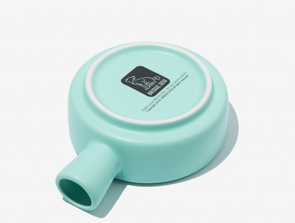 Bridge Pan - Mint (Matte)