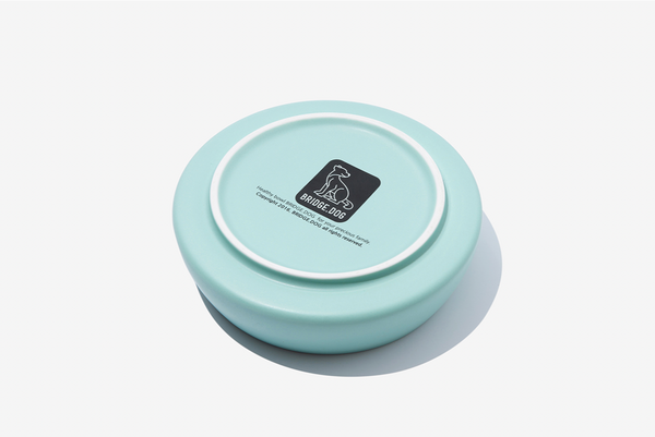 Bridge Ladder - Mint (Matte)