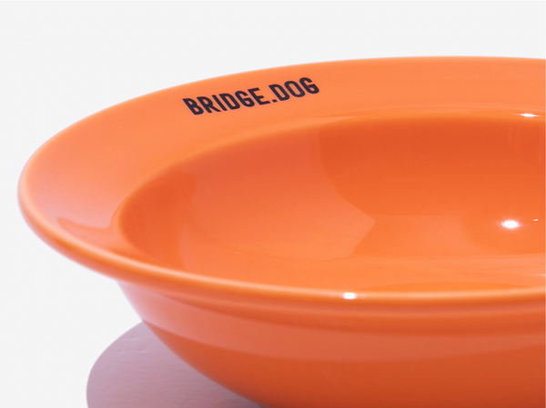 Mini Dish - Orange (Glossy)