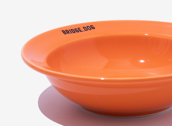 Mini Dish - Orange (Glossy)