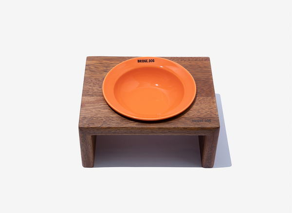 Mini Dish - Orange (Glossy)