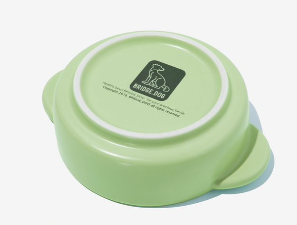 Bridge Pot - Green (Matte)