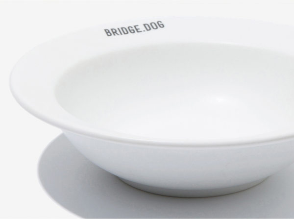 Mini Dish - White (Matte)