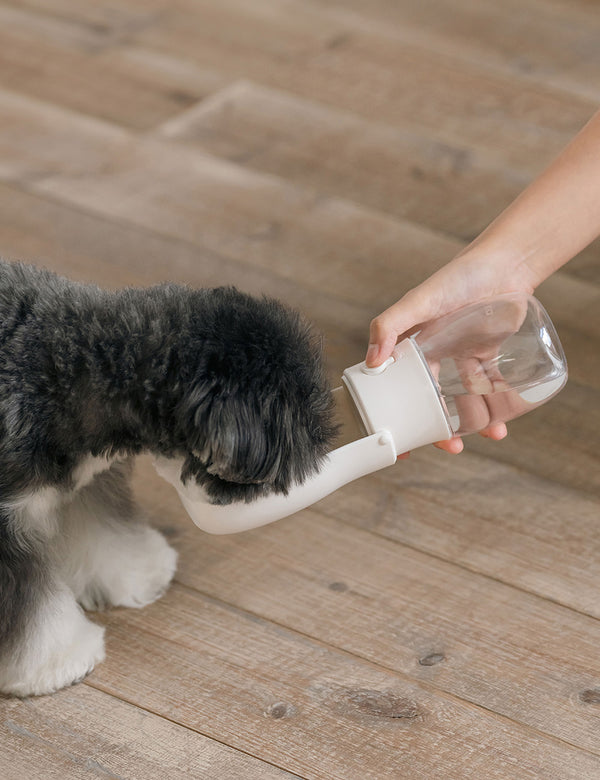 [PRE ORDER] Portable Return Water Bottle