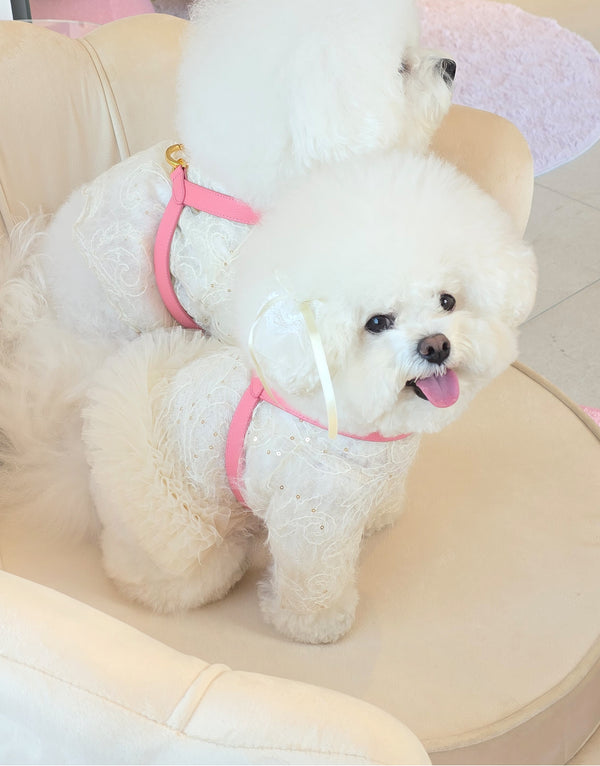 [PRE ORDER] PINK/CREAM BEIGE HARNESS