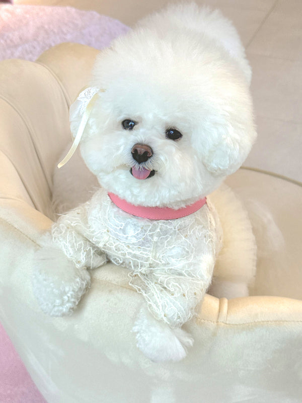 [PRE ORDER] PINK/CREAM BEIGE HARNESS