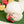 Pocket Fruits Nosework Toy