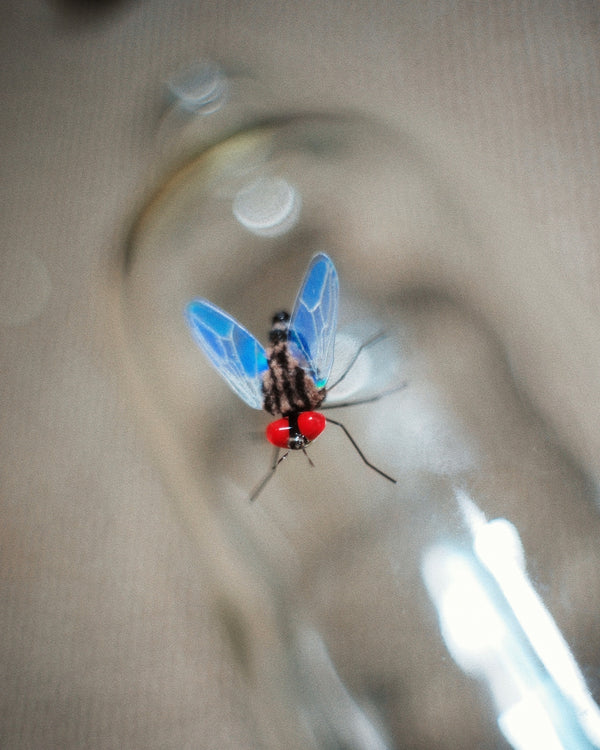 House Fly Cat Teaser Refill Toy