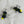Mini Annoying Bee Cat Teaser Refill Toy