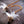 Canary String Feather Cat Teaser Wand Refill Toy