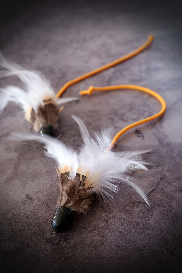 Canary String Feather Cat Teaser Wand Refill Toy