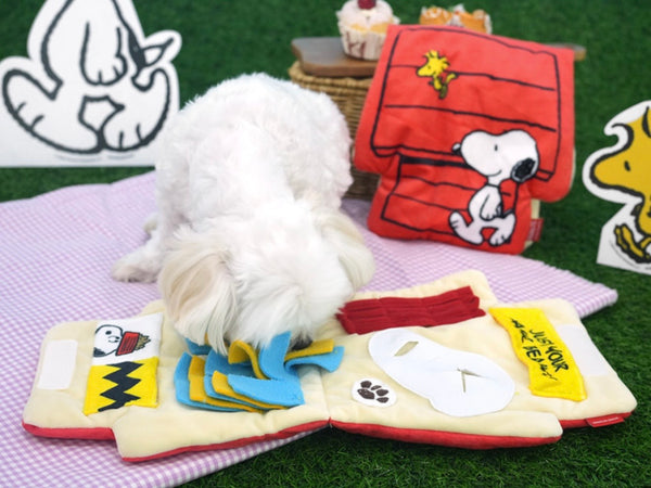 Snoopy House Nose Work Playmat Toy