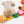 Peanuts Hamburger Nosework Toy