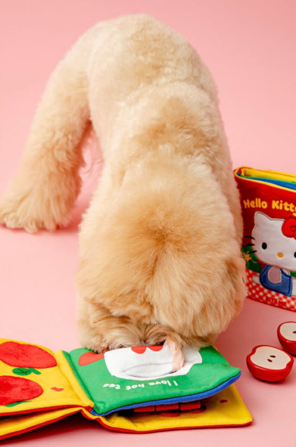 [PRE ORDER] Hello Kitty Nosework Play Book