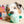 Fish Express Nosework Toy