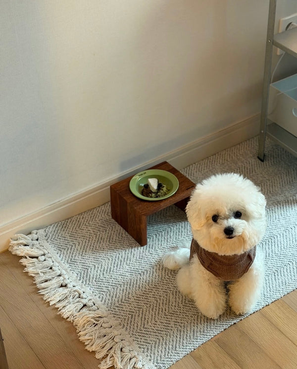 [PRE ORDER] Limited Matcha Series🍵