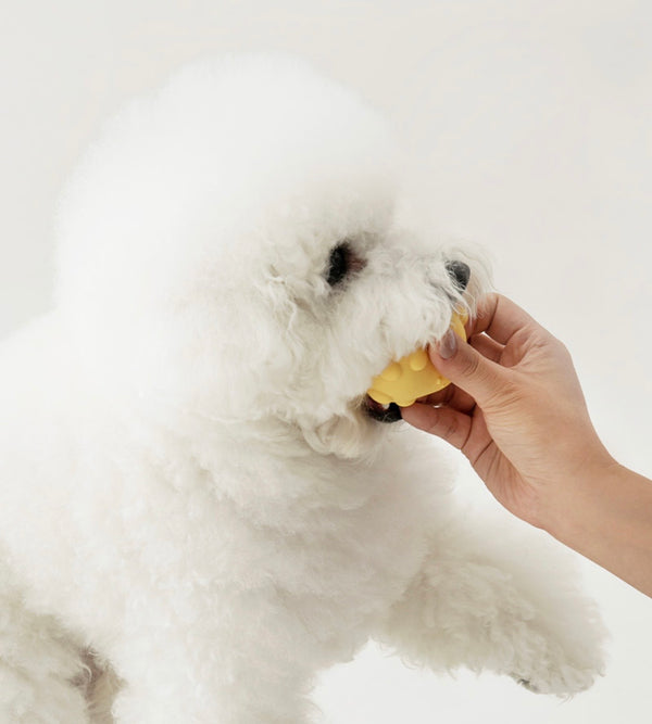 Jelly Bear Silicone Nosework ball