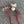 Christmas Bear Cat Teaser Refill Toy