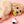 [PRE ORDER] Sanrio Squeaky Toy Set
