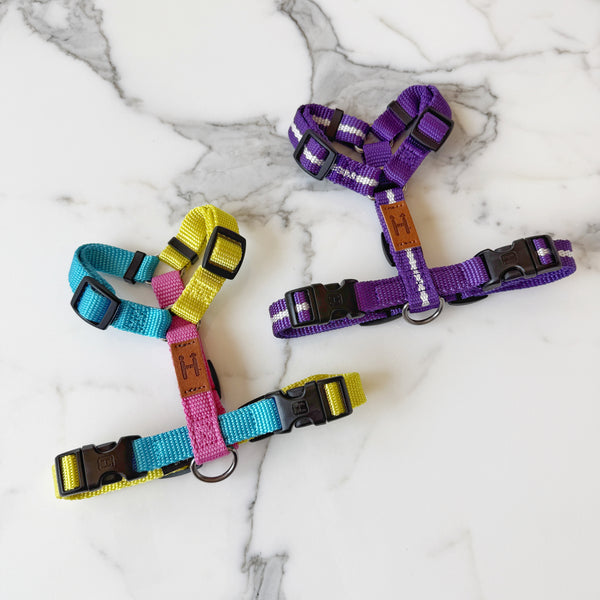 Florence Harness
