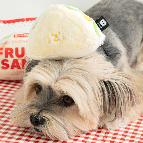Fruit Sandwich Toy