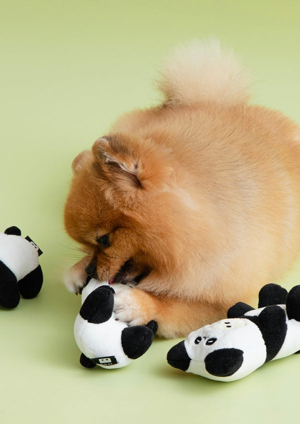 Panda Jelly Bear Toy