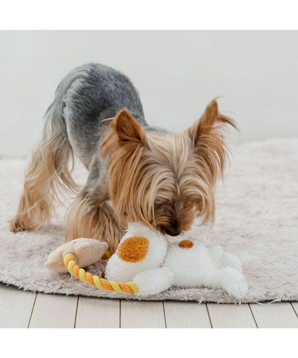 Snoopy Andy Rope Toy