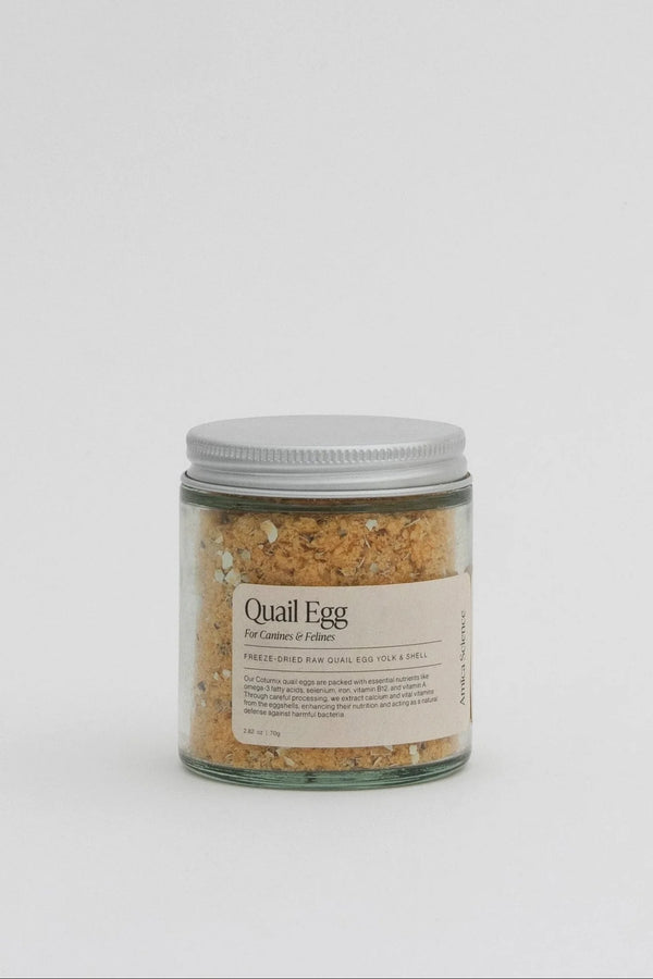 Quail Egg