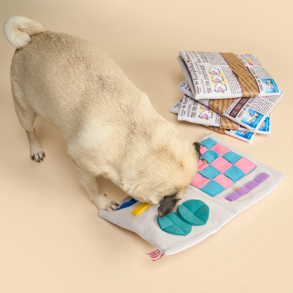 Newspaper Issue No.2 Nosework Toy
