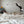 Mini Spinning Pheasant Feather Cat Teaser Wand Refill Toy