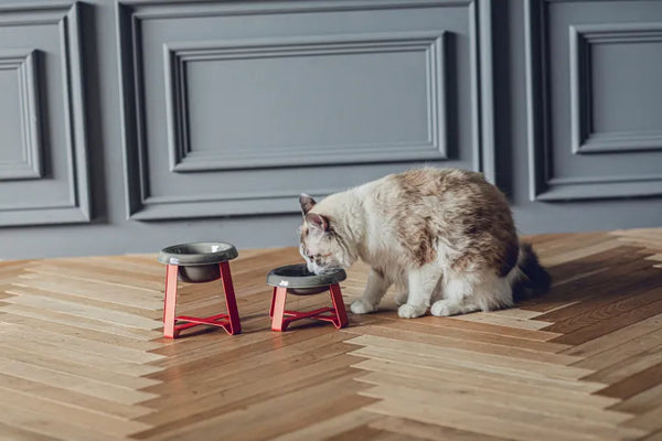 [PRE ORDER] Food Stand 2025 Christmas Limited (瑞朱 Zuishu)