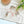 Mini Red Eye Reed Bug Cat Teaser Refill Toy