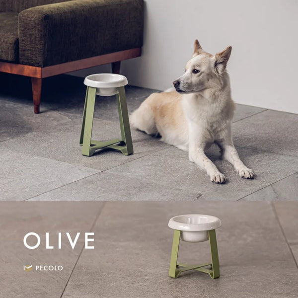 Food Stand Olive
