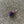 Mini Fruit Fly Cat Teaser Refill Toy