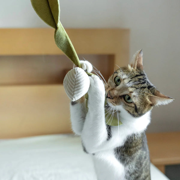 RADISH CAT TOY