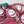 Red Onion Nosework Toy