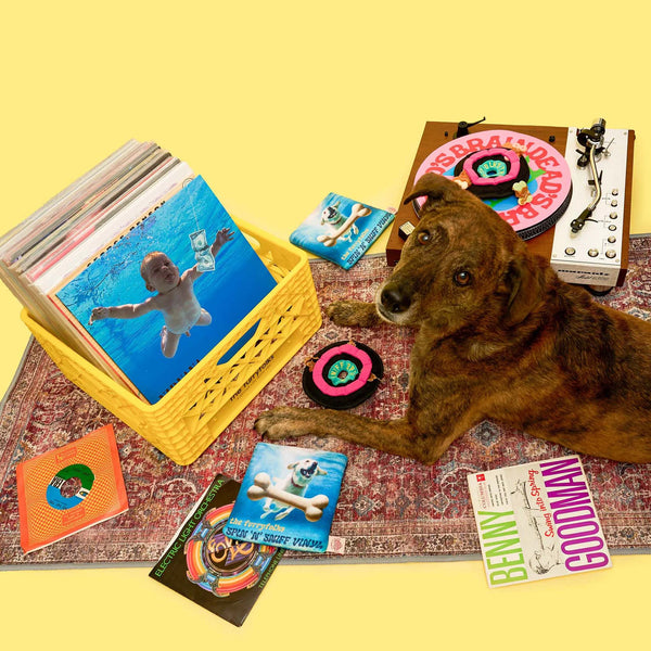 Vinyl Nosework Toy