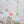 Feather Skirt Octopus Cat Teaser Refill Toy
